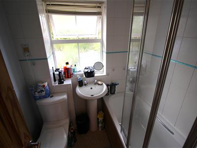 Picture 7